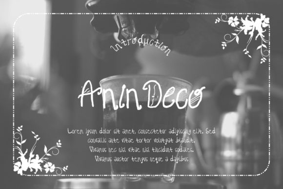 How Anin Deco Became My Hero Font for a Boutique Brand